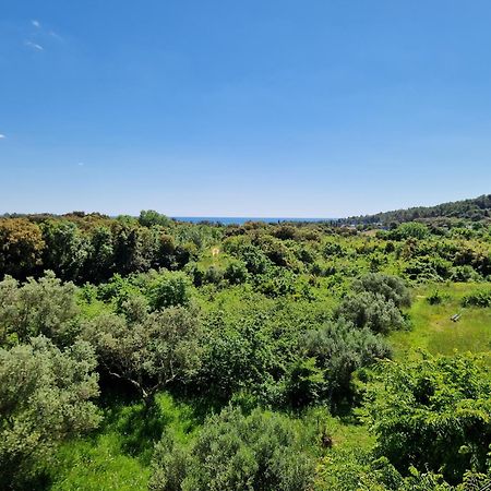 Villa Mareonda Rovinj Luaran gambar